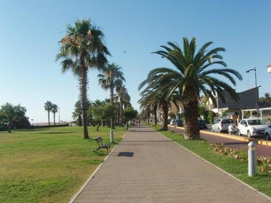 Appartement La Conchiglia à Porto SantʼElpidio Extérieur photo